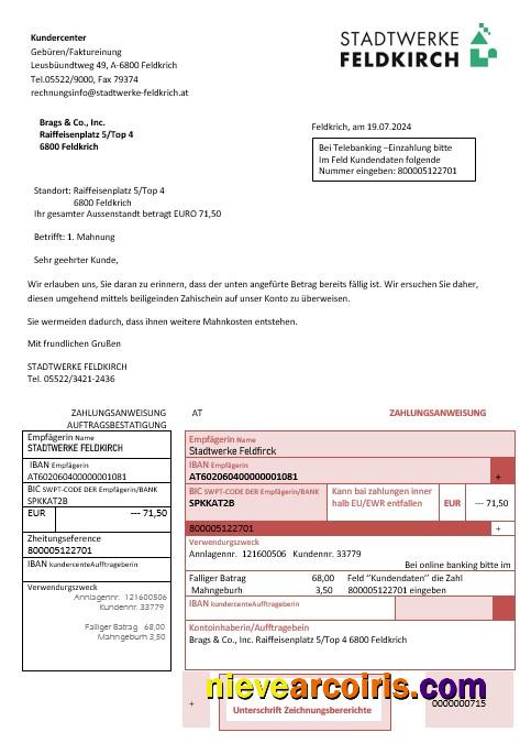 Austria Stadtwerke Feldkirch business utility bill